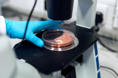 FAQ Diagnostic Lab Case Gallery 4