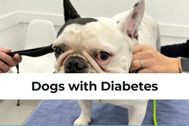 9bdc256aae4b492eb6d104984d4255ba.jpeg~tplv a9rns2rl98 downsize watermark 1 6 b